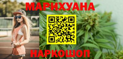 сатива Коммунар