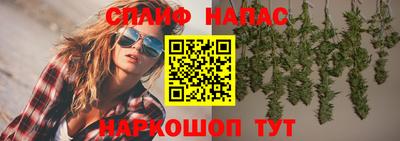 сатива Коммунар
