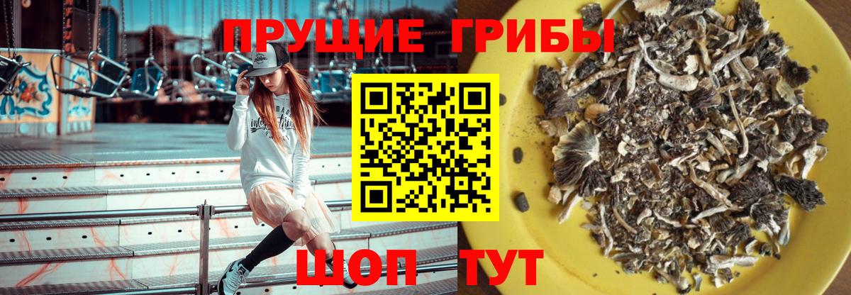 Псилоцибиновые грибы Cubensis  Галлюциногенные грибы GOLDEN TEACHER  Вход с VPN  Арсеньев 